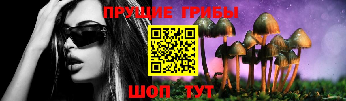 Галлюциногенные грибы Magic Shrooms  Вход с VPN  магазин продажи   Махачкала 